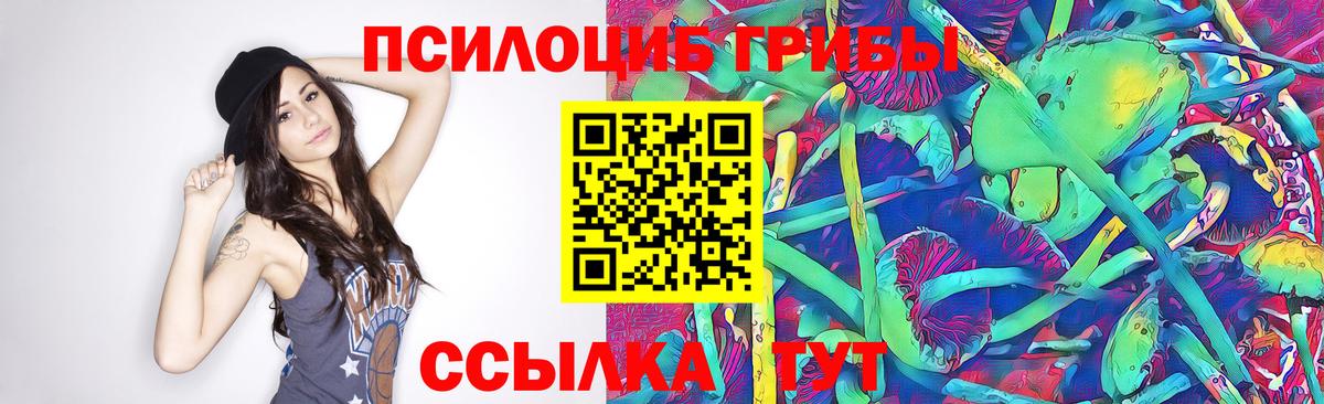 Галлюциногенные грибы Psilocybe Верхняя Пышма